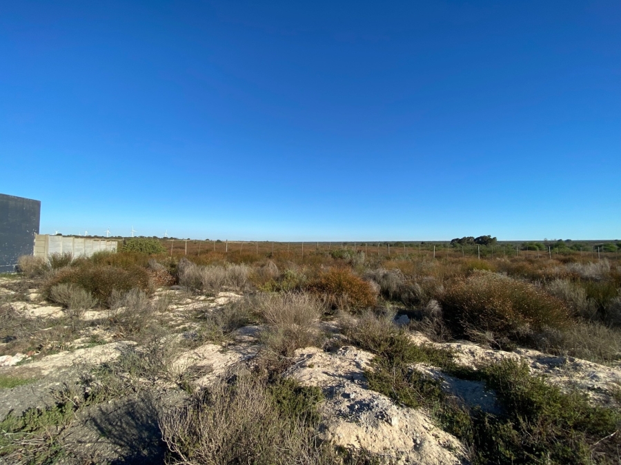 0 Bedroom Property for Sale in Hopefield Western Cape